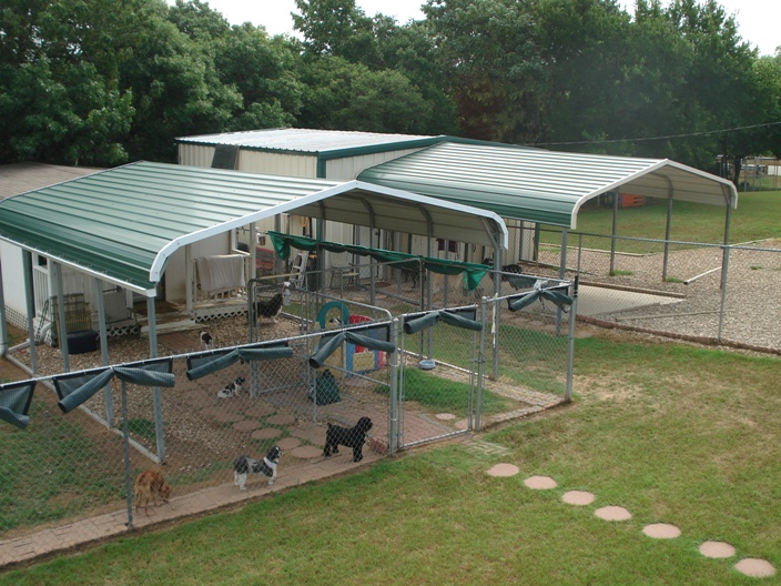 best dog boarding facilities